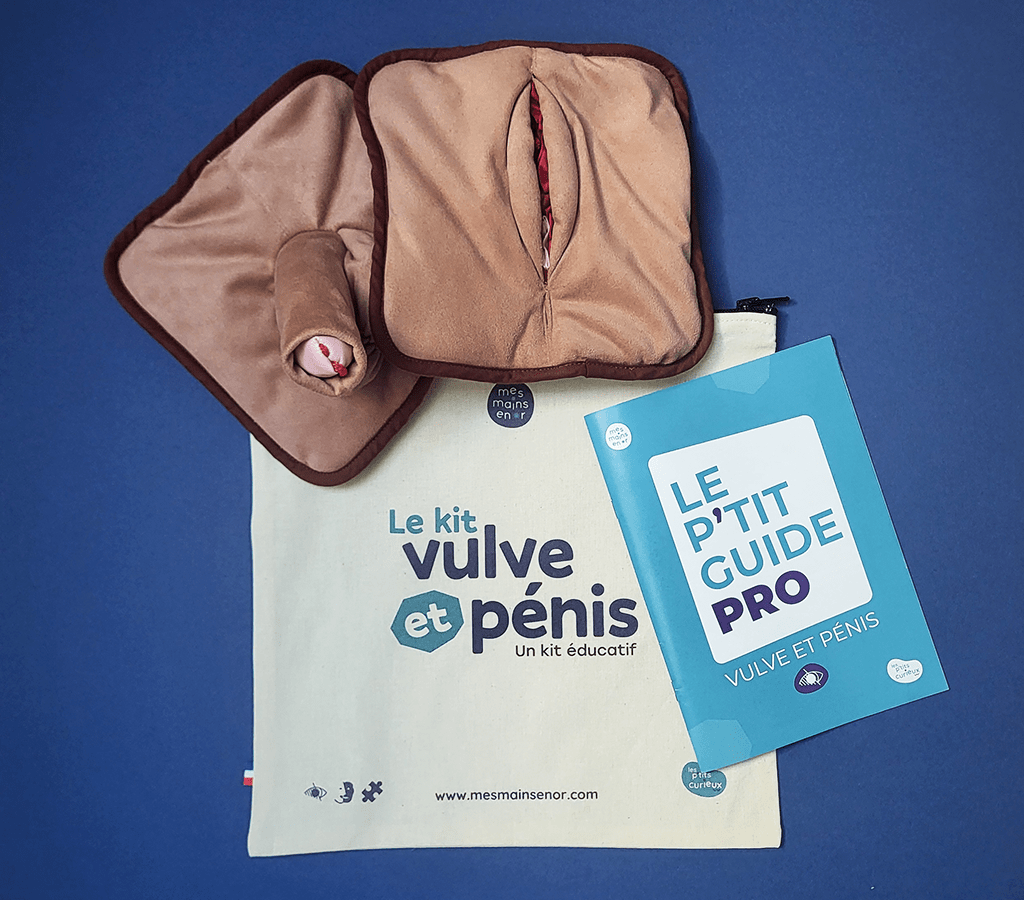 kit éducatif tactile du pénis et de la vulve adapté à la déficience visuelle
