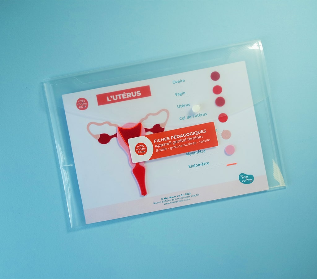 fiche pédagogique tactile sur l'appareil génital féminin et l'utérus