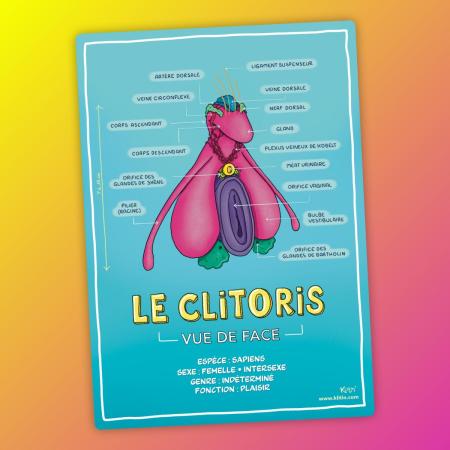 Affiche et support pédagogique sur l'anatomie du clitoris - Education à la sexualité