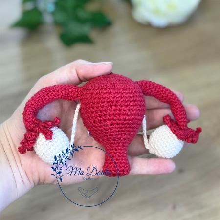 Modèle anatomique, éducatif, et pédagogique de l'utérus avec ovaires et trompes de Fallope -Peluche  EVARS