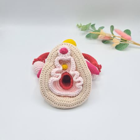 Modèle anatomique, éducatif, et pédagogique de l'appareil génital féminin complet (vulve, clitoris, ovaire, vagin...)  - Peluche EVARS