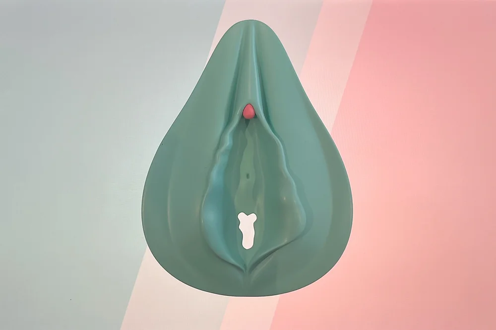 Artémis - objet 3D de la vulve et du clitoris pour l'éducation à la sexualité